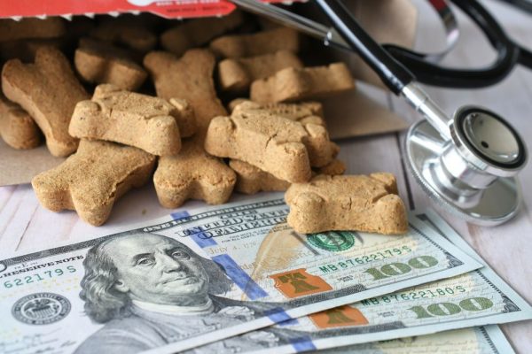 How to Cut Pet Costs Without Compromising Care