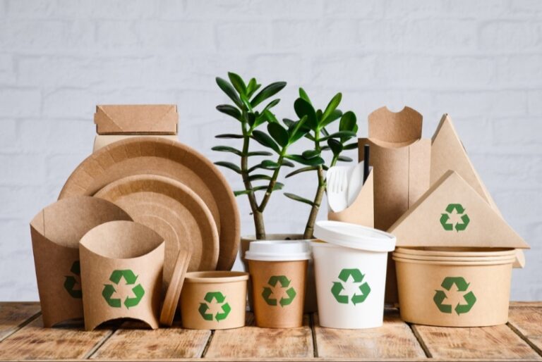 Eco-Friendly Containers That Are Worth the Investment